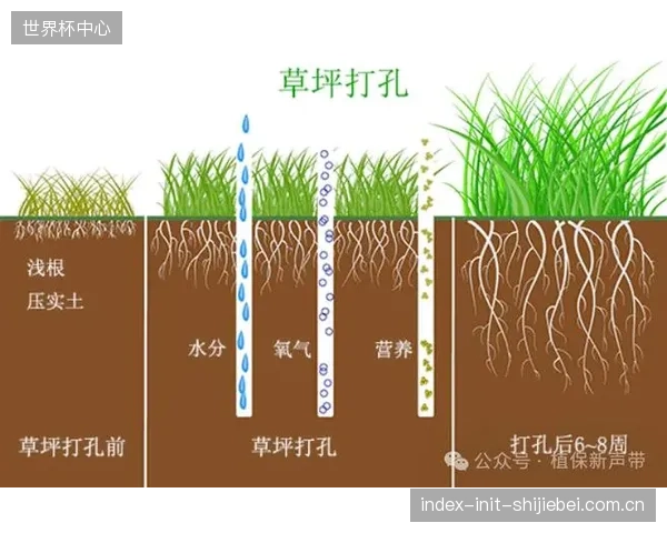 中波红外辐射能有效渗透至地表下8至10厘米，直接为草坪根系区提供热量，避免了对地表的过度加热